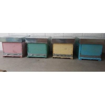 Arnia Cubo da 10T solo nido, senza telaini. USATA