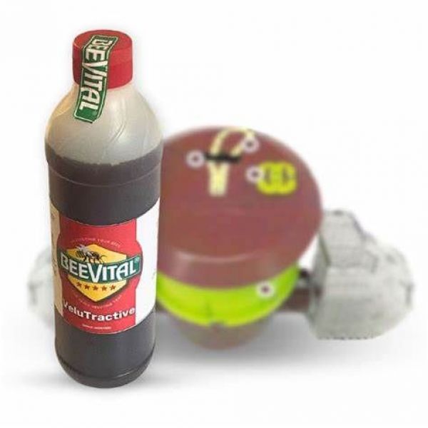 ATTRATTIVO SPECIALE  PER VESPA VELUTINA - VELUTRACTIVE 24 FLACONI D...