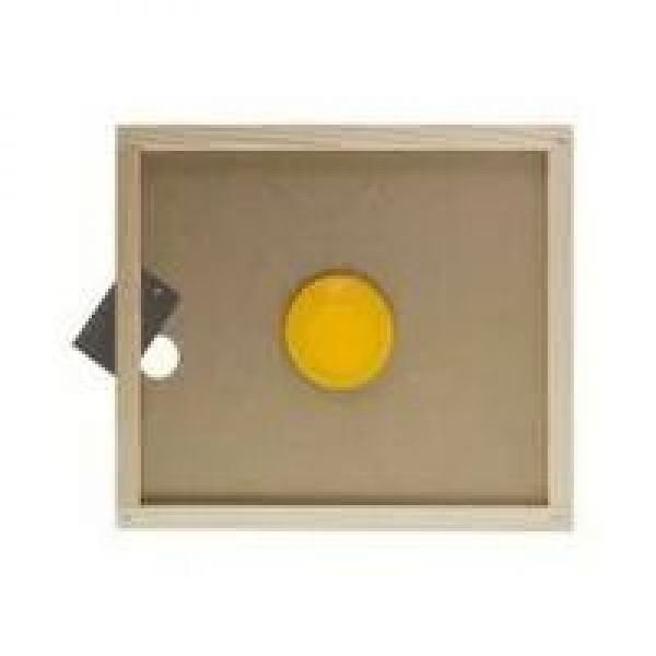 10 PEZZI APISCAMPO IN PLASTICA SU TAVOLETTA PER ARNIA DA 8