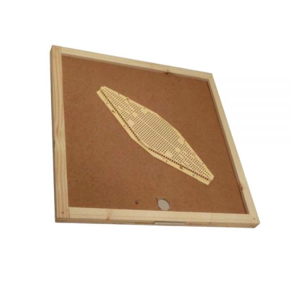 10 PEZZI Apiscampo losanga su tavoletta per arnia da 12