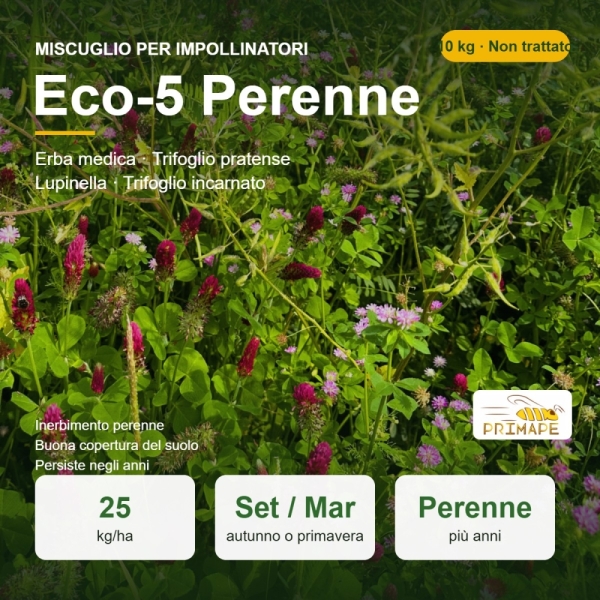 Miscuglio per Impollinatori Operation Pollinator Eco-5 Perenne – ...