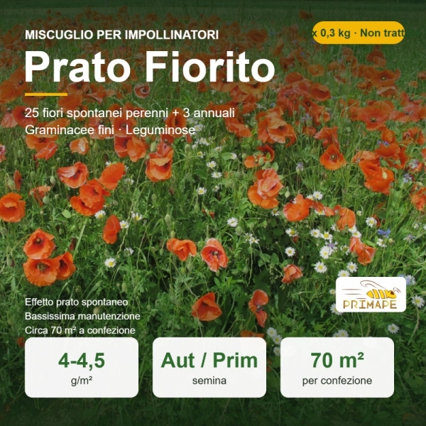 Miscuglio per Impollinatori Prato Fiorito – 10 x 0,3 kg – Paesa...