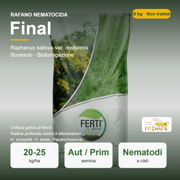Semi di Rafano Nematocida Final – 20 kg – Sovescio e Biofumigaz...