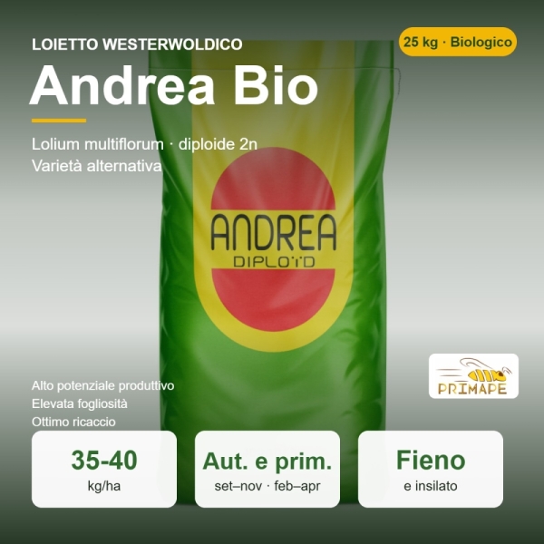 Semi di Loietto Westerwoldico Andrea Bio – 25 kg – Fieno e Pascolo