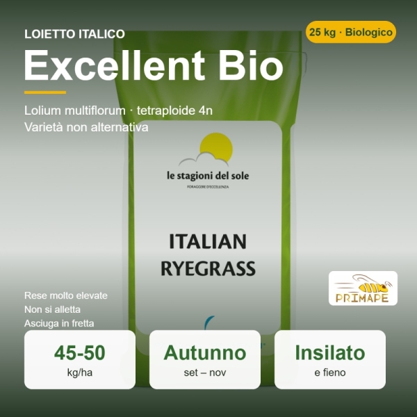 Semi di Loietto Italico Excellent Bio – 25 kg – Fieno e Insilato