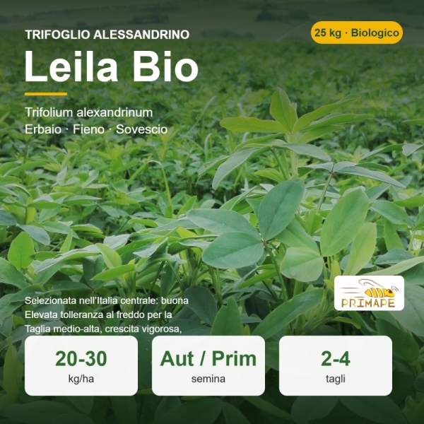 Semi di Trifoglio Alessandrino Leila Bio – 25 kg – Erbaio e Sov...