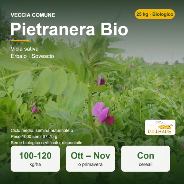 Semi di Veccia Comune Pietranera Bio – 25 kg – Erbaio e Sovescio