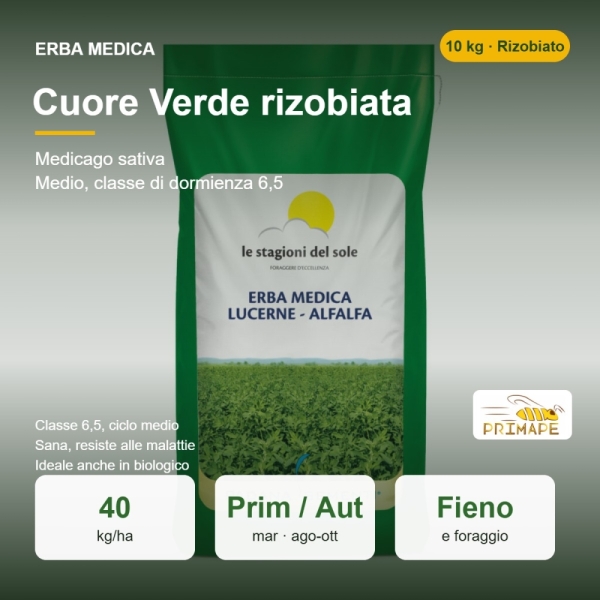 Semi di Erba Medica Cuore Verde Rizobiata – 10 kg – Fieno e For...