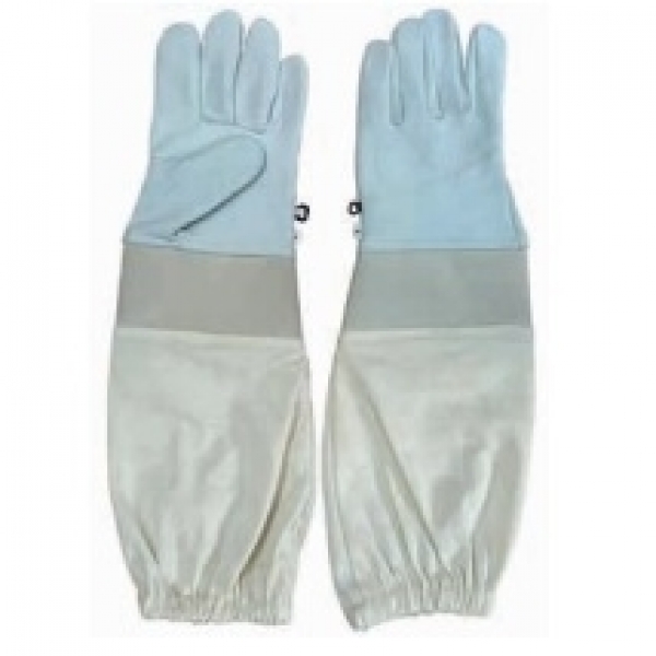 GUANTI IN PELLE ECONOMICI - TAGLIA 8