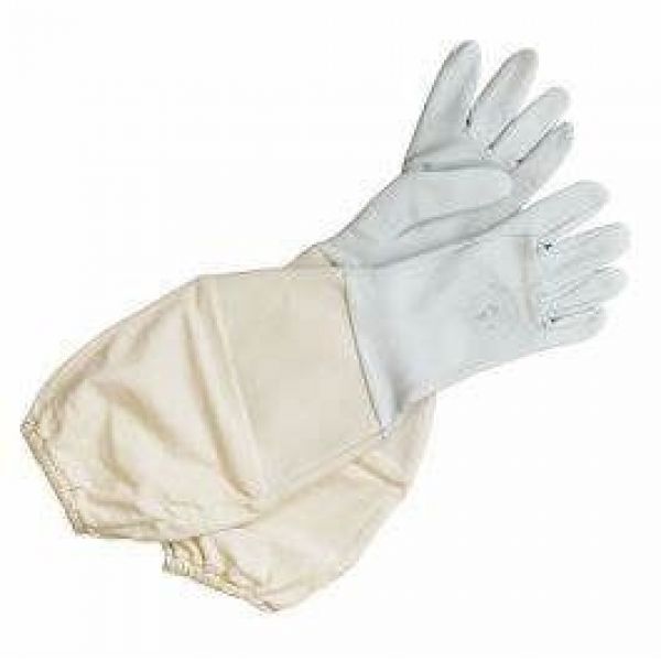 GUANTI IN PELLE ECONOMICI - TAGLIA 11