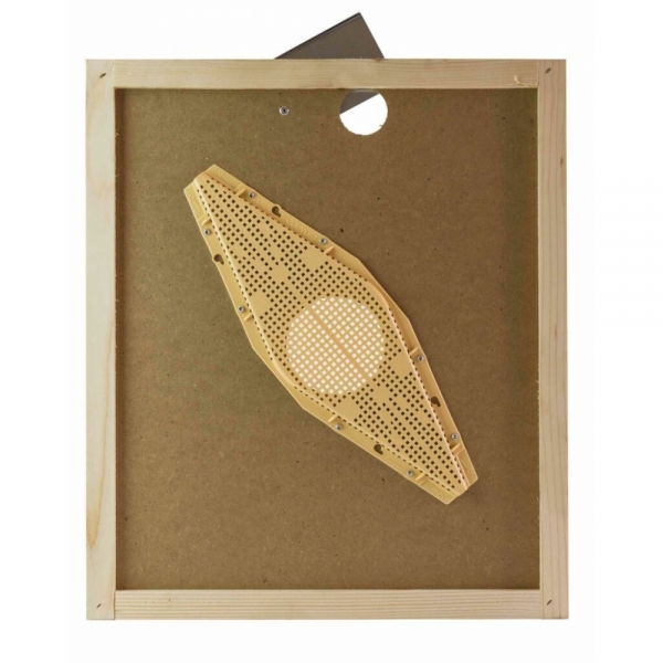 Apiscampo losanga su tavoletta per arnia da 7 (mm.320x500)