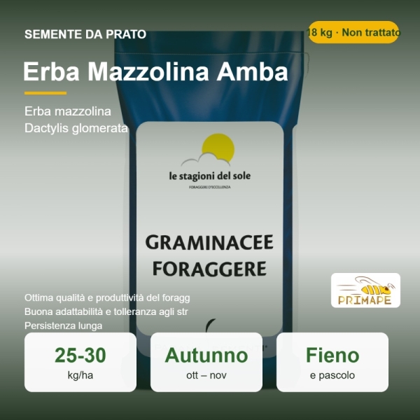Semi di Erba Mazzolina Amba – 18 kg – Prato e Foraggio – Non ...
