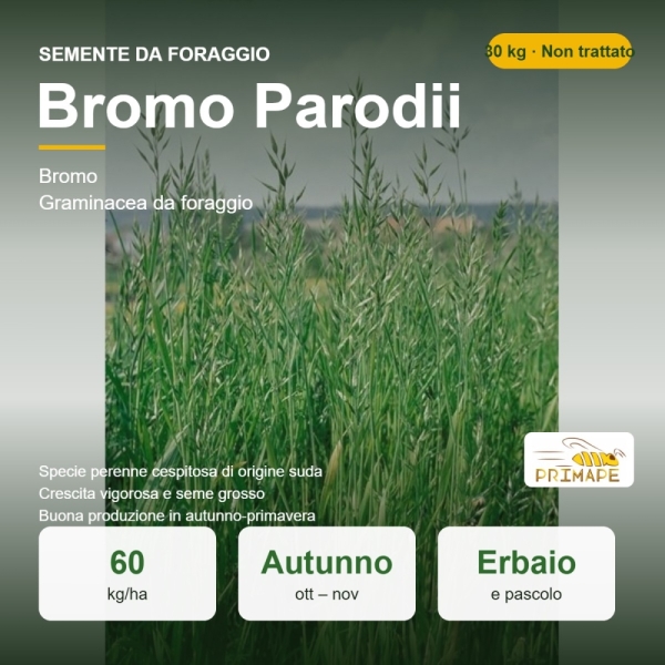 Semi di Bromo Parodii – 30 kg – Erbaio e Pascolo – Non trattati