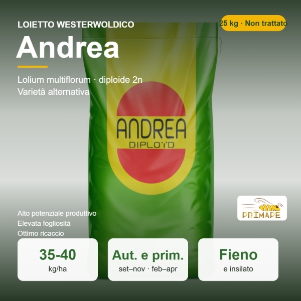 Semi di Loietto Westerwoldico Andrea – 25 kg – Fieno e Insilato...