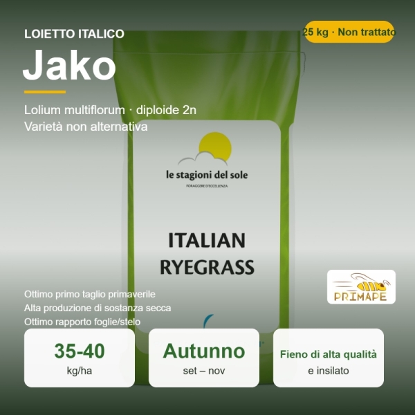 Semi di Loietto Italico Jako – 25 kg – Fieno di Qualità – No...