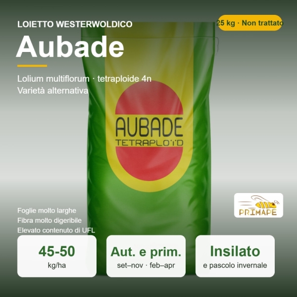 Semi di Loietto Westerwoldico Aubade – 25 kg – Insilato e Pasco...