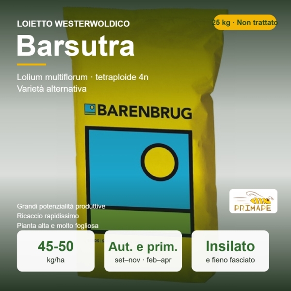 Semi di Loietto Westerwoldico Barsutra – 25 kg – Insilato e Fie...