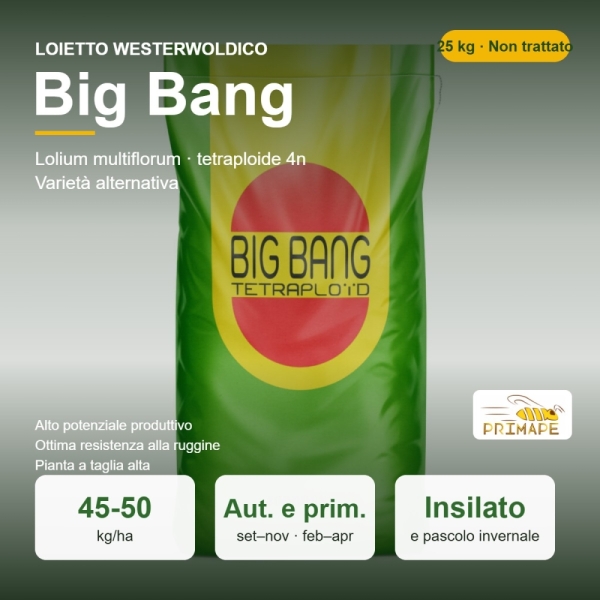 Semi di Loietto Westerwoldico Big Bang – 25 kg – Insilato e Pas...