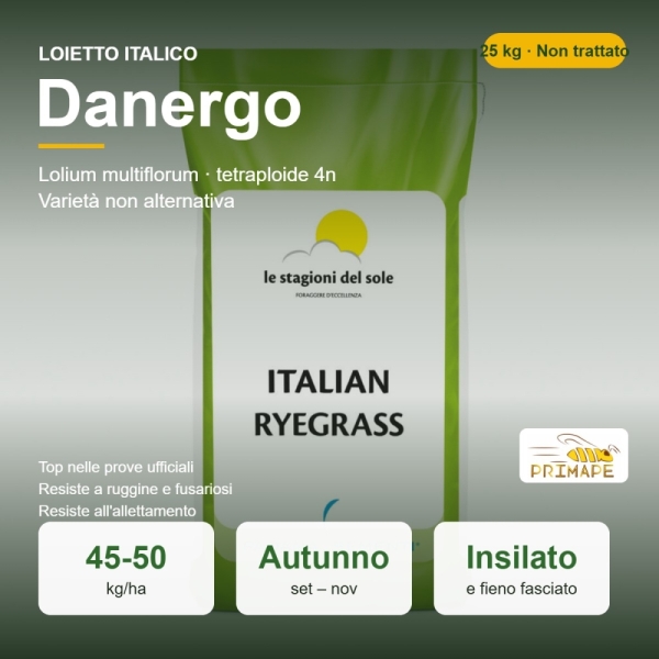 Semi di Loietto Italico Danergo – 25 kg – Insilato e Fieno Fasc...