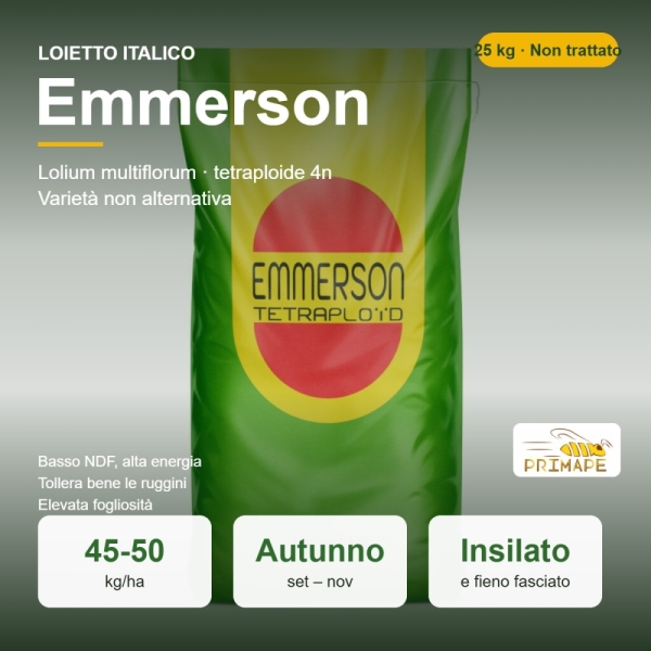 Semi di Loietto Italico Emmerson – 25 kg – Insilato e Fieno Fas...