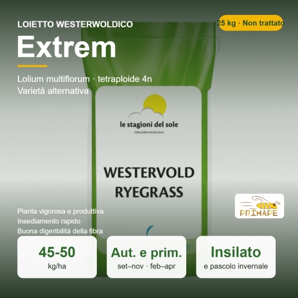 Semi di Loietto Westerwoldico Extrem – 25 kg – Insilato e Pasco...