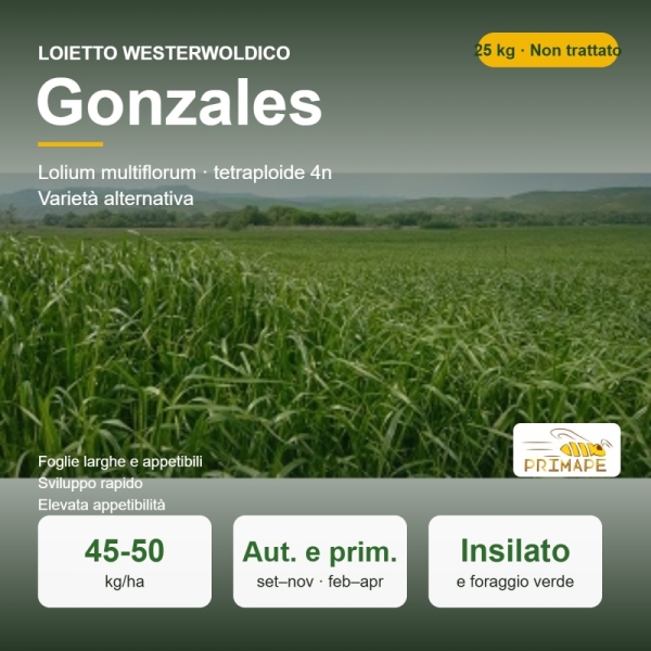 Semi di Loietto Westerwoldico Gonzales – 25 kg – Insilato e Pas...