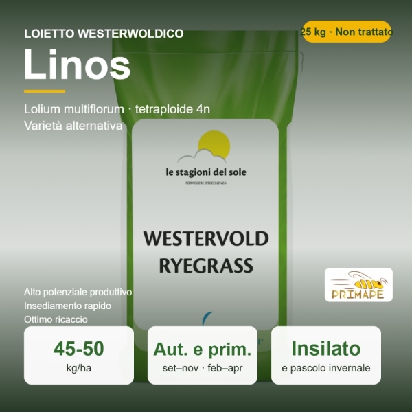 Semi di Loietto Westerwoldico Linos – 25 kg – Insilato e Pascol...