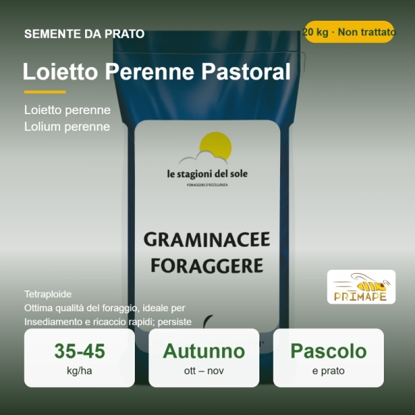 Semi di Loietto Perenne Pastoral – 20 kg – Pascolo e Prato – ...