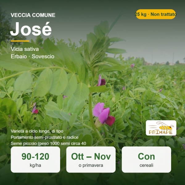 Semi di Veccia Comune José – 25 kg – Erbaio e Sovescio – Non...