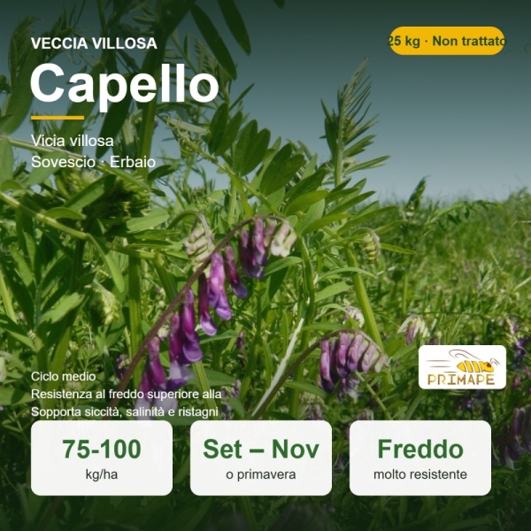 Semi di Veccia Villosa Capello – 25 kg – Sovescio ed Erbaio –...