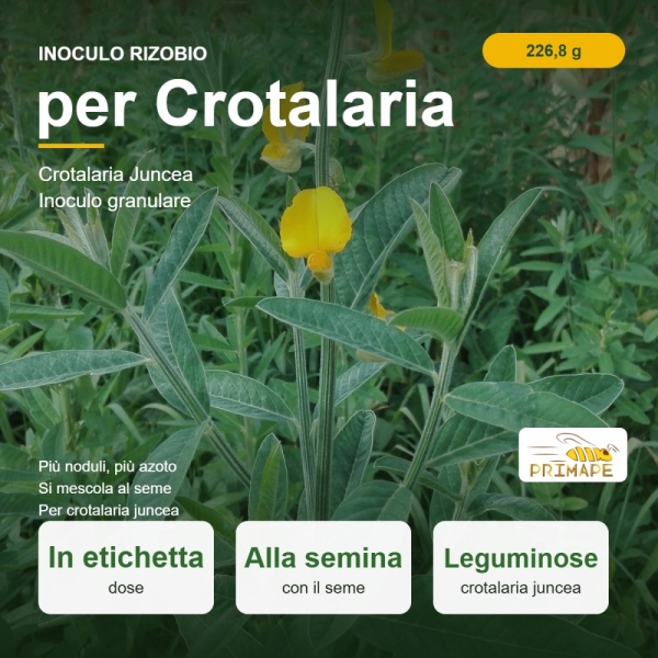Inoculo Rizobio per Crotalaria – 226,8 g – Crotalaria Juncea