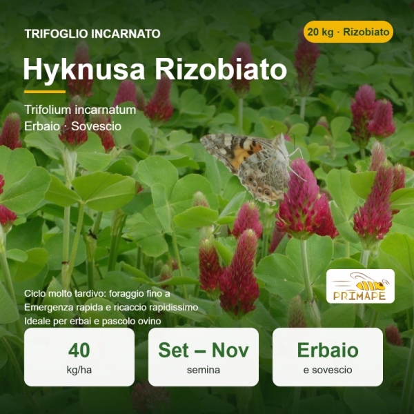 Semi di Trifoglio Incarnato Hyknusa – 20 kg – Erbaio e Sovescio...