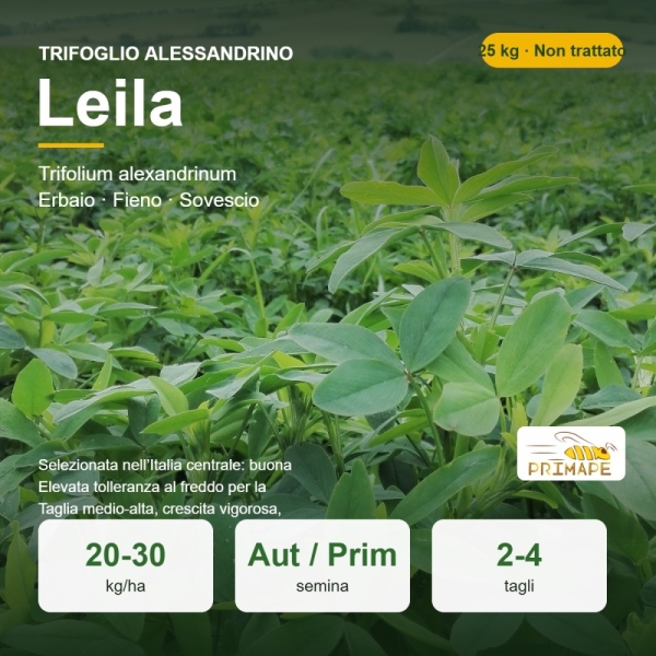 Semi di Trifoglio Alessandrino Leila – 25 kg – Erbaio e Sovesci...