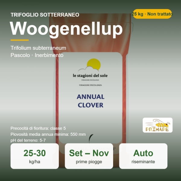 Semi di Trifoglio Sotterraneo Woogenellup – 25 kg – Pascolo e I...