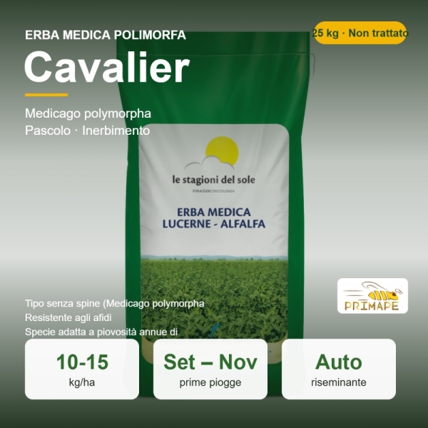 Semi di Erba Medica Polimorfa Cavalier – 25 kg – Pascolo Autori...