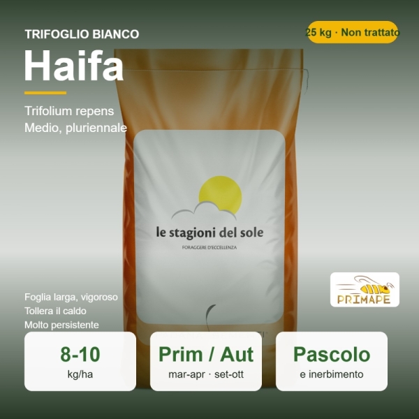 Semi di Trifoglio Bianco Haifa – 25 kg – Pascolo e Inerbimento ...
