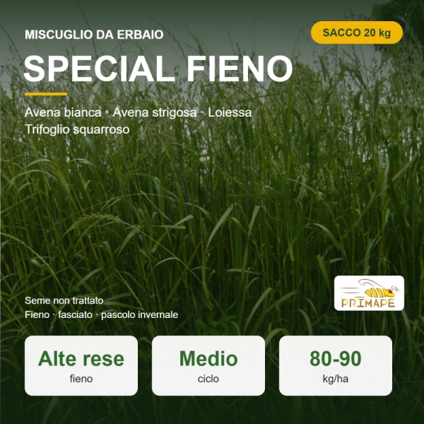 Miscuglio da Erbaio Special Fieno – 20 kg – Fieno e Pascolo –...