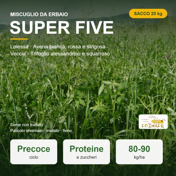 Miscuglio da Erbaio Super Five – 20 kg – Pascolo, Insilato, Fie...