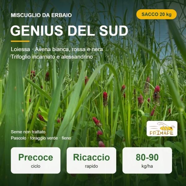 Miscuglio da Erbaio Genius del Sud – 20 kg – Pascolo e Fieno �...