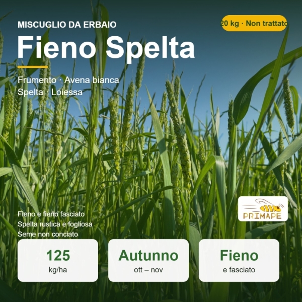 Miscuglio da Erbaio Fieno Spelta – 20 kg – Fieno e Fieno Fascia...