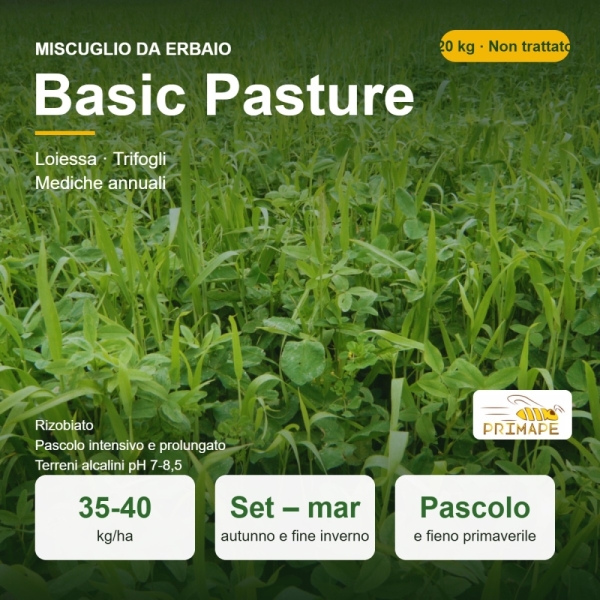 Miscuglio da Erbaio Basic Pasture Rizobiato – 20 kg – Pascolo e...