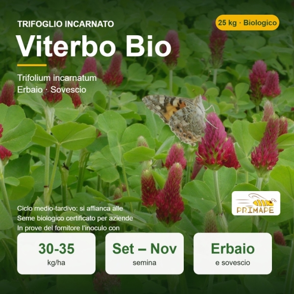 Semi di Trifoglio Incarnato Viterbo Bio – 25 kg – Erbaio e Sove...
