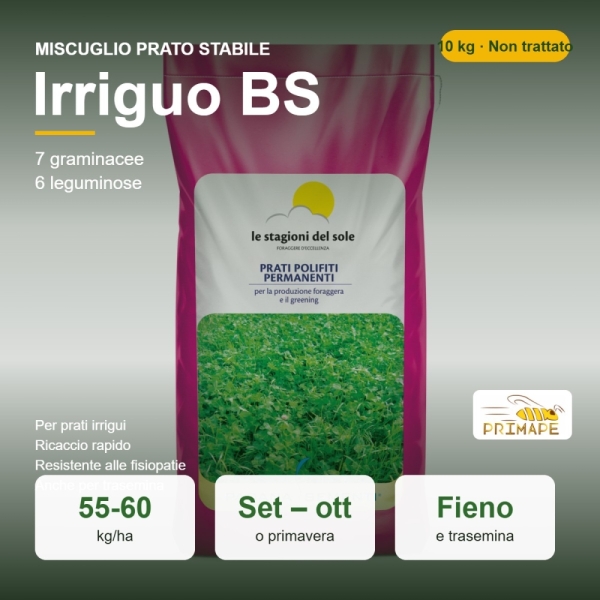 Miscuglio da Prato Stabile Irriguo BS – 10 kg – Fieno, Foraggio...