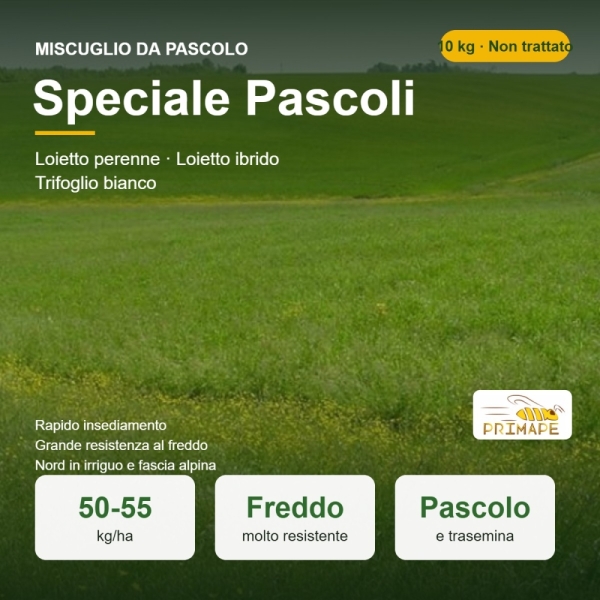 Miscuglio da Pascolo Speciale Pascoli – 10 kg – Pascolo, Fieno ...
