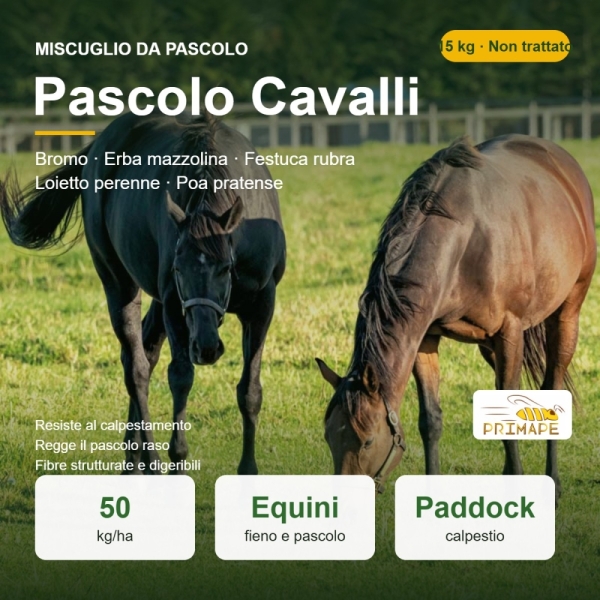Miscuglio da Prato Pascolo Cavalli – 15 kg – Fieno e Pascolo Eq...