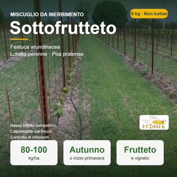 Miscuglio da Inerbimento Sottofrutteto – 20 kg – Frutteto e Vig...