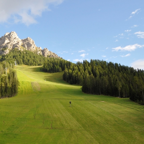 MISCUGLIO SKI 1000 25 KG - Inerbimento di piste da sci e ripristini...