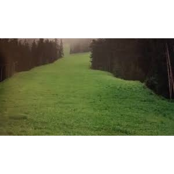 MISCUGLIO SKI 2000 25 KG - Inerbimento di piste da sci e ripristini...