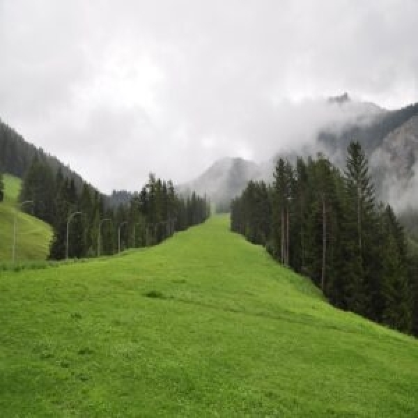 MISCUGLIO SCARPATE QUOTA 1000 25 KG - nerbimento di scarpate e ripr...