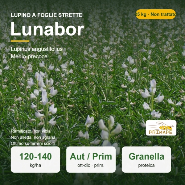 Semi di Lupino a Foglie Strette Lunabor – 25 kg – Granella Prot...